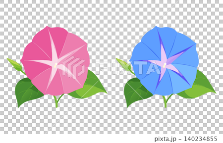牽牛花的插圖 140234855