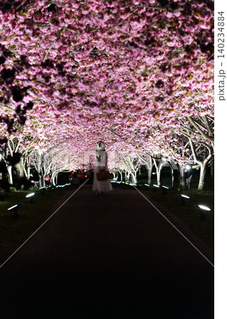 羅生門さくら公園（桜のトンネル）51736 140234884