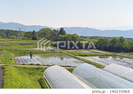 初夏の茅野市の農村 八ヶ岳を望む棚田で田植え機が動く水田風景 初夏の茅野市の農村 八ヶ岳を望む棚田で田植え機が動く水田風景 140235068