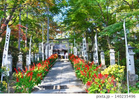 草津温泉 白根神社 美しい秋の境内 (群馬県吾妻郡草津町) 草津温泉 白根神社 美しい秋の境内 (群馬県吾妻郡草津町) 140235496