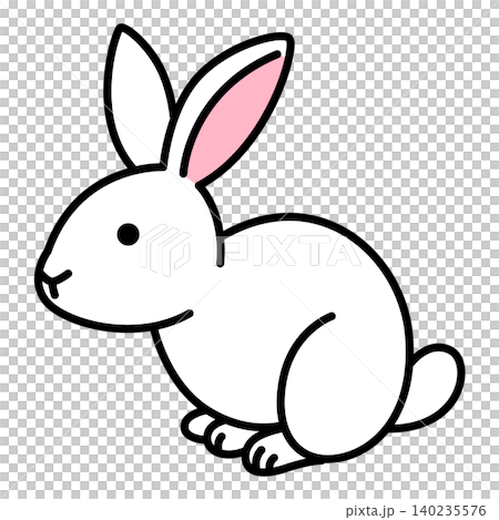 White rabbit White rabbit 140235576