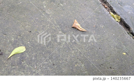 A top-down angle reveals a weathered grey concrete surface. Scattered dry leaves rest on the gritty texture, creating a minimalist outdoor scene. This background captures natural decay, industrial 140235667