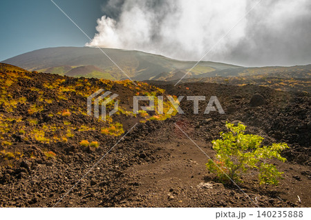 Smoking Volcano Landscape Smoking Volcano Landscape 140235888