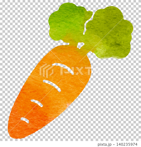 一幅簡單可愛的水彩插畫,描繪了一根帶有葉子的胡蘿蔔。 一幅簡單可愛的水彩插畫,描繪了一根帶有葉子的胡蘿蔔。 140235974