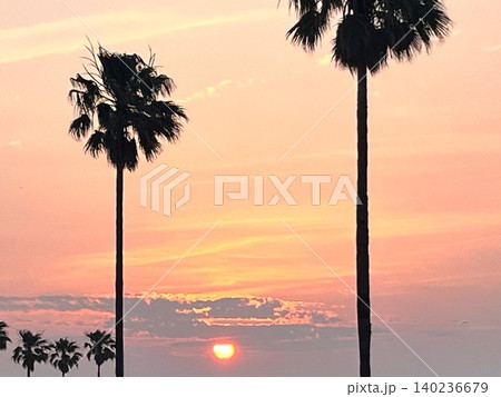 ヤシの木のシルエットと夕日が美しい南国の夕暮れ ヤシの木のシルエットと夕日が美しい南国の夕暮れ 140236679