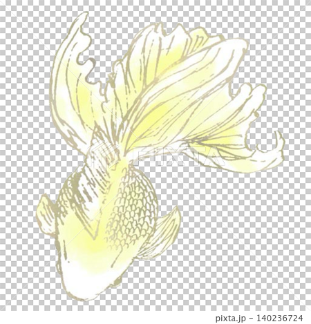 金魚黃 金魚黃 140236724