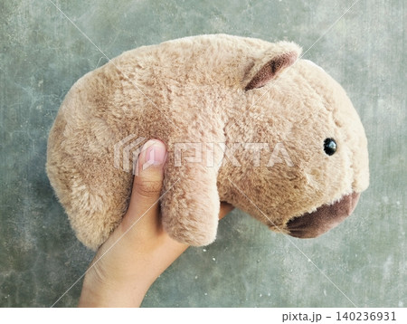 Hand Holding Capybara Doll on Concrete Wall Background Hand Holding Capybara Doll on Concrete Wall Background 140236931