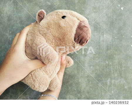 Hand Holding Capybara Doll on Concrete Wall Background Hand Holding Capybara Doll on Concrete Wall Background 140236932