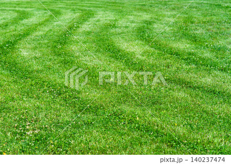 Freshly mowed, trimmed green grass lawn with visible lawn mower stripe pattern and textured surface Freshly mowed, trimmed green grass lawn with visible lawn mower stripe pattern and textured surface 140237474