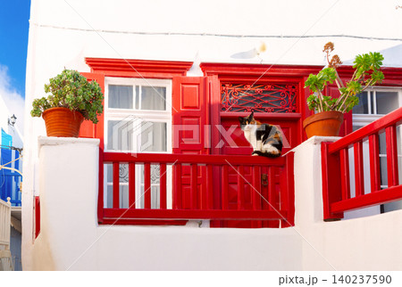 Cat on red balcony of white house in Mykonos, Greece Cat on red balcony of white house in Mykonos, Greece 140237590