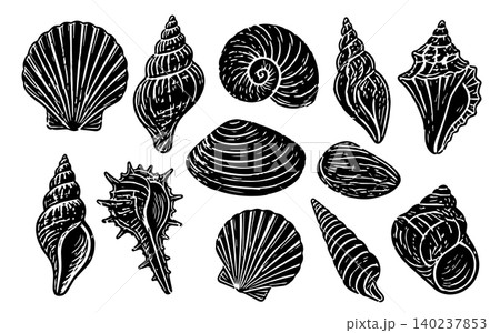 linocut Vector beach shell with illustration sea design and isolated nature ocean. Silhouette seashell water with icon vector stamp and lino graphic marine. Set black vector with monochrome linocut Vector beach shell with illustration sea design and isolated nature ocean. Silhouette seashell water with icon vector stamp and lino graphic marine. Set black vector with monochrome 140237853