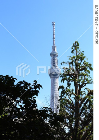 墨田区内各所から眺めた東京スカイツリー 墨田区内各所から眺めた東京スカイツリー 140239079