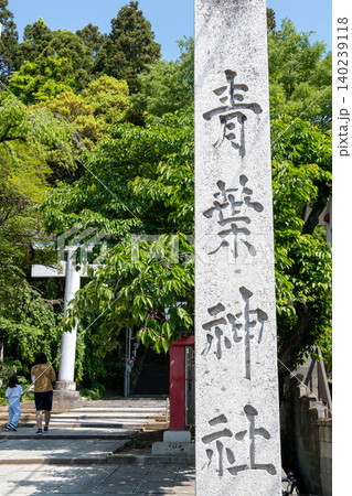 新緑に包まれた仙台・青葉神社 140239118