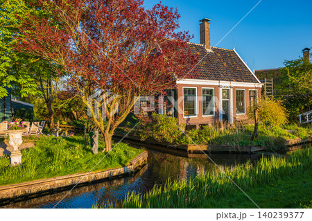 Beautiful brick Dutch cottage by canal with red tree in golden hour light 140239377