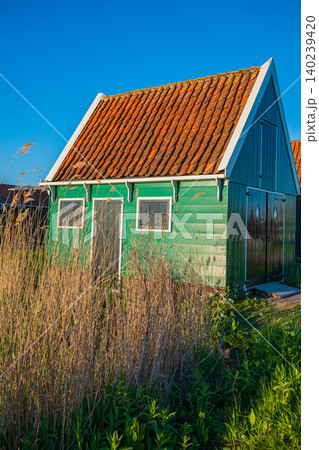 Traditional green Dutch barn with tiled roof behind tall dry reeds at sunset Traditional green Dutch barn with tiled roof behind tall dry reeds at sunset 140239420
