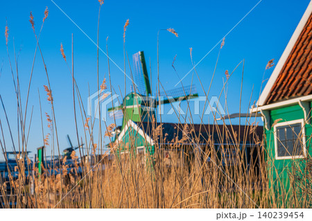 Scenic Dutch windmill behind dry reeds with beautiful bokeh effect at sunset Scenic Dutch windmill behind dry reeds with beautiful bokeh effect at sunset 140239454
