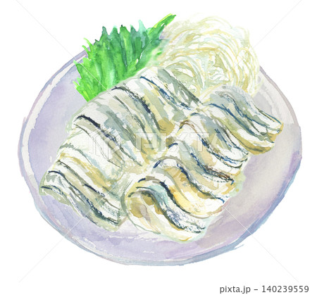 お皿に盛りつけたきびなごの刺身の水彩イラスト お皿に盛りつけたきびなごの刺身の水彩イラスト 140239559