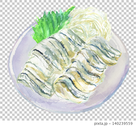 お皿に盛りつけたきびなごの刺身の水彩イラスト お皿に盛りつけたきびなごの刺身の水彩イラスト 140239559