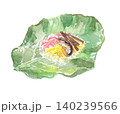 朴葉ずしの水彩イラスト 140239566
