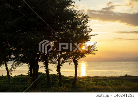 豊公園から夕日に染まる琵琶湖を望む 豊公園から夕日に染まる琵琶湖を望む 140241253