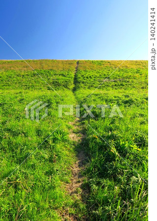 自然にできた小道のある冬の江戸川土手風景 自然にできた小道のある冬の江戸川土手風景 140241414