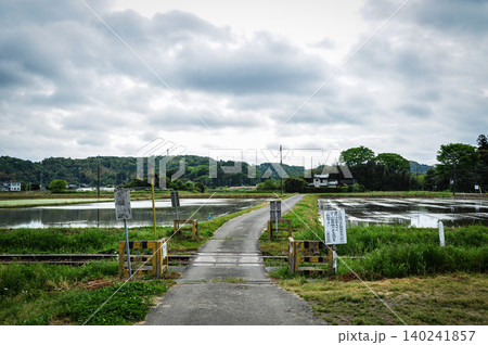 水が張られた田んぼと小湊鉄道の遮断機のない踏切がある田園風景 水が張られた田んぼと小湊鉄道の遮断機のない踏切がある田園風景 140241857