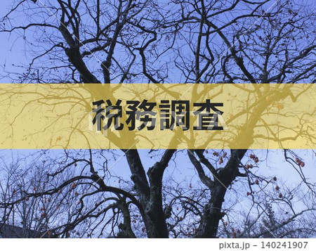 税務調査の文字入り背景素材 140241907