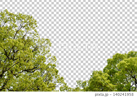 透過背景の新緑の樹木を切り抜いた素材写真 透過背景の新緑の樹木を切り抜いた素材写真 140241958