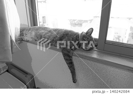 スケッチ風 猫 ネコ ねこ キジトラ グレー 雌 メス 雌ねこ 雌ネコ 元気 かわいい 癒し スケッチ風 猫 ネコ ねこ キジトラ グレー 雌 メス 雌ねこ 雌ネコ 元気 かわいい 癒し 140242084