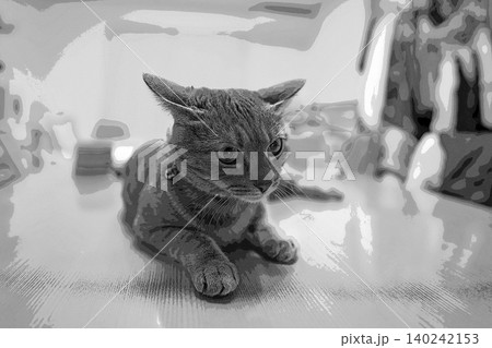スケッチ風 猫 ネコ ねこ キジトラ グレー 雌 メス 雌ねこ 雌ネコ 元気 かわいい 癒し スケッチ風 猫 ネコ ねこ キジトラ グレー 雌 メス 雌ねこ 雌ネコ 元気 かわいい 癒し 140242153