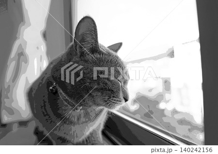 スケッチ風 猫 ネコ ねこ キジトラ グレー 雌 メス 雌ねこ 雌ネコ 元気 かわいい 癒し スケッチ風 猫 ネコ ねこ キジトラ グレー 雌 メス 雌ねこ 雌ネコ 元気 かわいい 癒し 140242156