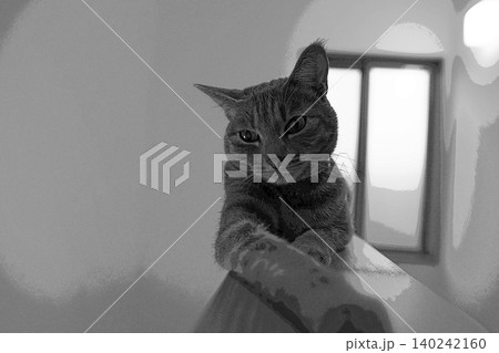 スケッチ風 猫 ネコ ねこ キジトラ グレー 雌 メス 雌ねこ 雌ネコ 元気 かわいい 癒し スケッチ風 猫 ネコ ねこ キジトラ グレー 雌 メス 雌ねこ 雌ネコ 元気 かわいい 癒し 140242160