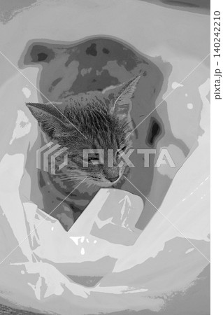 スケッチ風 猫 ネコ ねこ キジトラ グレー 雌 メス 雌ねこ 雌ネコ 元気 かわいい 癒し スケッチ風 猫 ネコ ねこ キジトラ グレー 雌 メス 雌ねこ 雌ネコ 元気 かわいい 癒し 140242210