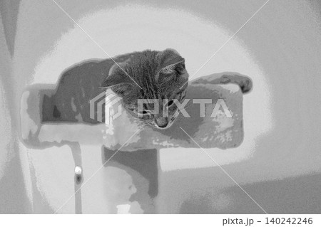 スケッチ風 猫 ネコ ねこ キジトラ グレー 雌 メス 雌ねこ 雌ネコ 元気 かわいい 癒し スケッチ風 猫 ネコ ねこ キジトラ グレー 雌 メス 雌ねこ 雌ネコ 元気 かわいい 癒し 140242246