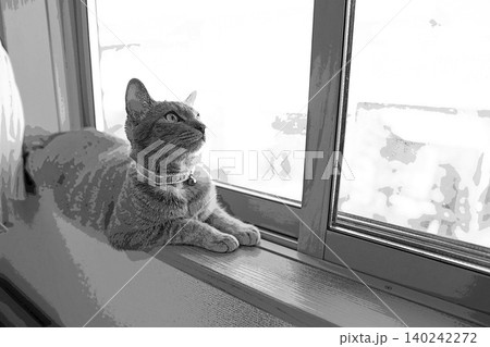スケッチ風 猫 ネコ ねこ キジトラ グレー 雌 メス 雌ねこ 雌ネコ 元気 かわいい 癒し スケッチ風 猫 ネコ ねこ キジトラ グレー 雌 メス 雌ねこ 雌ネコ 元気 かわいい 癒し 140242272