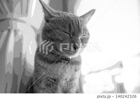 スケッチ風 猫 ネコ ねこ キジトラ グレー 雌 メス 雌ねこ 雌ネコ 元気 かわいい 癒し スケッチ風 猫 ネコ ねこ キジトラ グレー 雌 メス 雌ねこ 雌ネコ 元気 かわいい 癒し 140242326