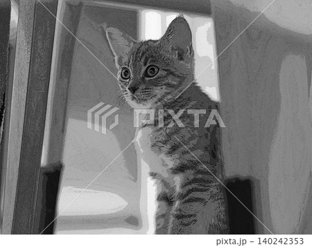 スケッチ風 猫 ネコ ねこ キジトラ グレー 雌 メス 雌ねこ 雌ネコ 元気 かわいい 癒し スケッチ風 猫 ネコ ねこ キジトラ グレー 雌 メス 雌ねこ 雌ネコ 元気 かわいい 癒し 140242353