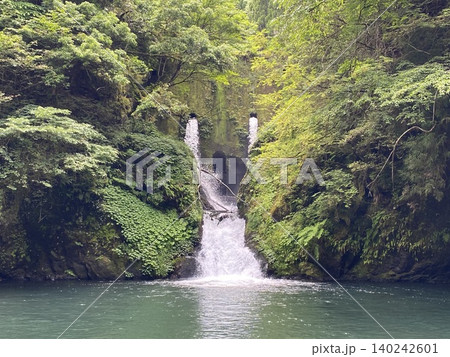 苔むす岩壁を流れ落ちる灰屋の滝 森林に囲まれた水景 苔むす岩壁を流れ落ちる灰屋の滝 森林に囲まれた水景 140242601