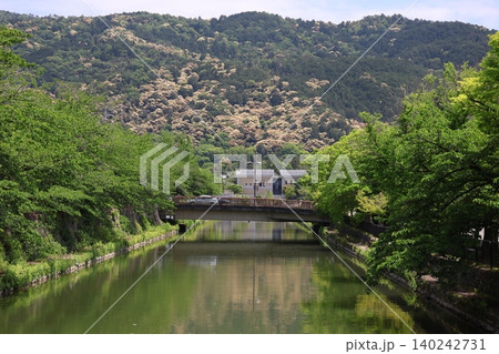 空と山と新緑の緑の葉の街路樹と橋と川の風景 空と山と新緑の緑の葉の街路樹と橋と川の風景 140242731