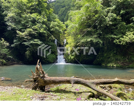 京都の山奥に佇む灰屋の滝と流木のある渓谷風景 京都の山奥に佇む灰屋の滝と流木のある渓谷風景 140242759