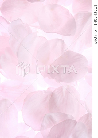 白背景のソメイヨシノの桜の花と花びら 140243018