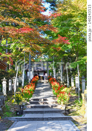 草津温泉 白根神社 美しい秋の紅葉の境内 (群馬県吾妻郡草津町) 草津温泉 白根神社 美しい秋の紅葉の境内 (群馬県吾妻郡草津町) 140243515
