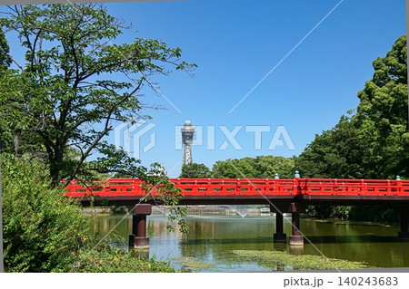 川底池と和気橋 大阪市 川底池と和気橋 大阪市 140243683