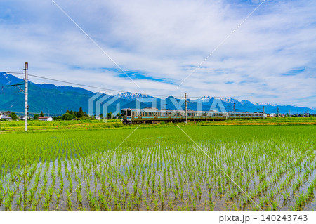 【長野県】北アルプスを背に、田植えの済んだ田園を走る電車 【長野県】北アルプスを背に、田植えの済んだ田園を走る電車 140243743