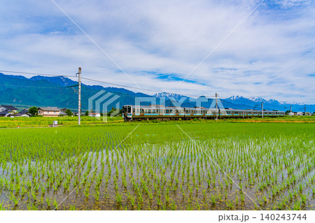 【長野県】北アルプスを背に、田植えの済んだ田園を走る電車 【長野県】北アルプスを背に、田植えの済んだ田園を走る電車 140243744
