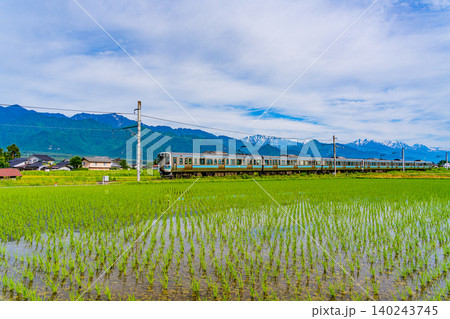 【長野県】北アルプスを背に、田植えの済んだ田園を走る電車 140243745