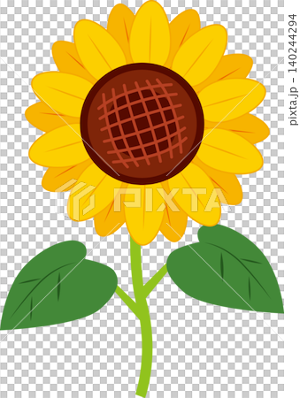 Simple sunflower illustration Simple sunflower illustration 140244294