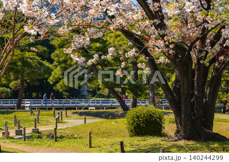 浜離宮恩賜庭園 浜離宮恩賜庭園 140244299
