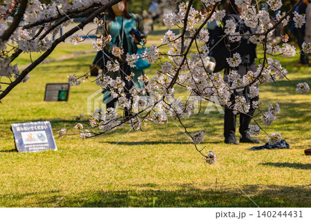 浜離宮恩賜庭園 浜離宮恩賜庭園 140244431