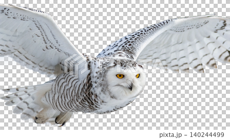 Realistic Owl in flight isolated on transparent background. Realistic Owl in flight isolated on transparent background. 140244499